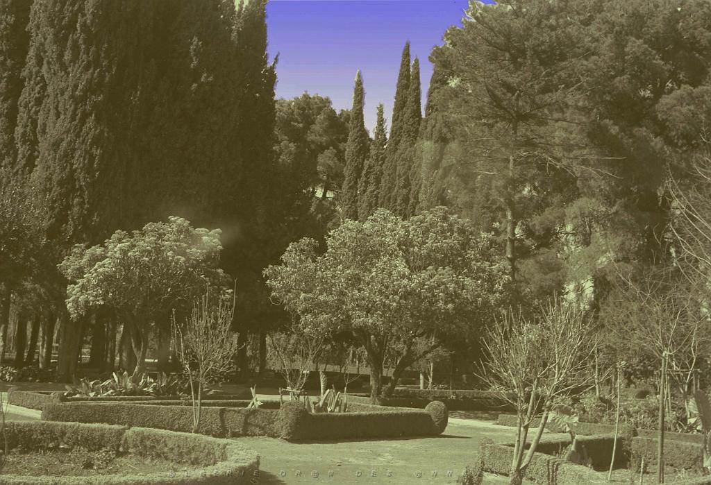Tlemcen 502- Jardin public.jpg